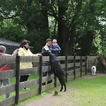 ホテル Im Spreewald - &