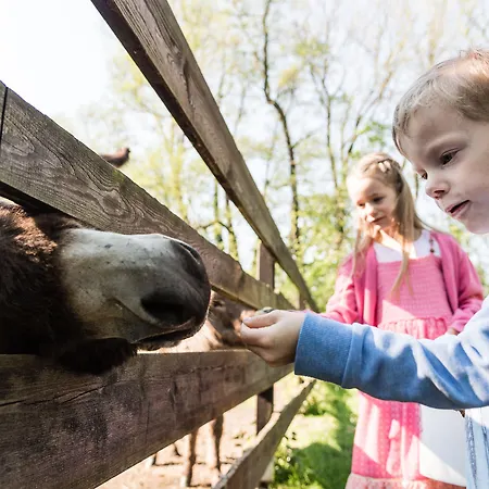 Im Spreewald - & Szálloda Burg
