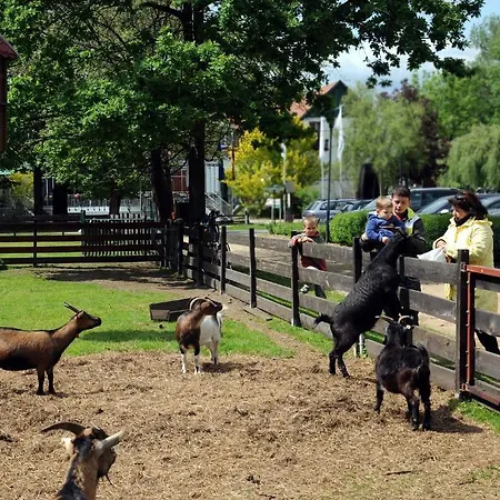 Im Spreewald - & 布尔格