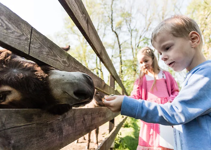 Im Spreewald - & فندق بورغ
