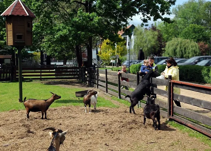 Im Spreewald - & بورغ