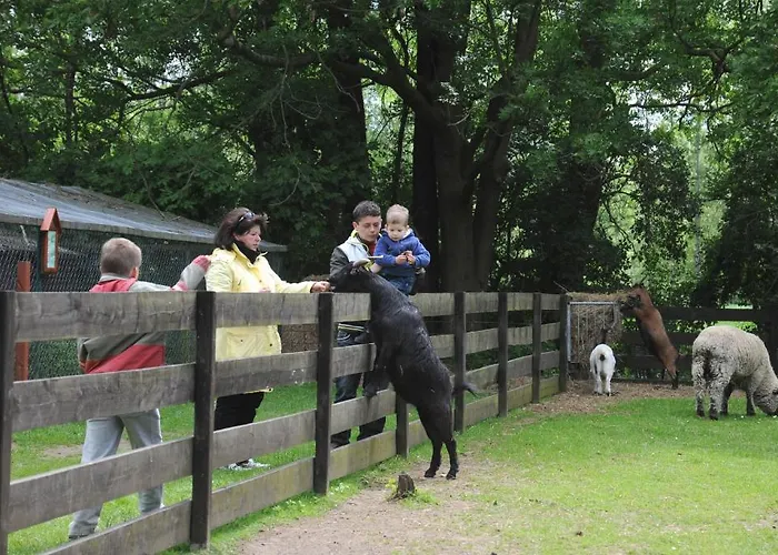 فندق Im Spreewald - &